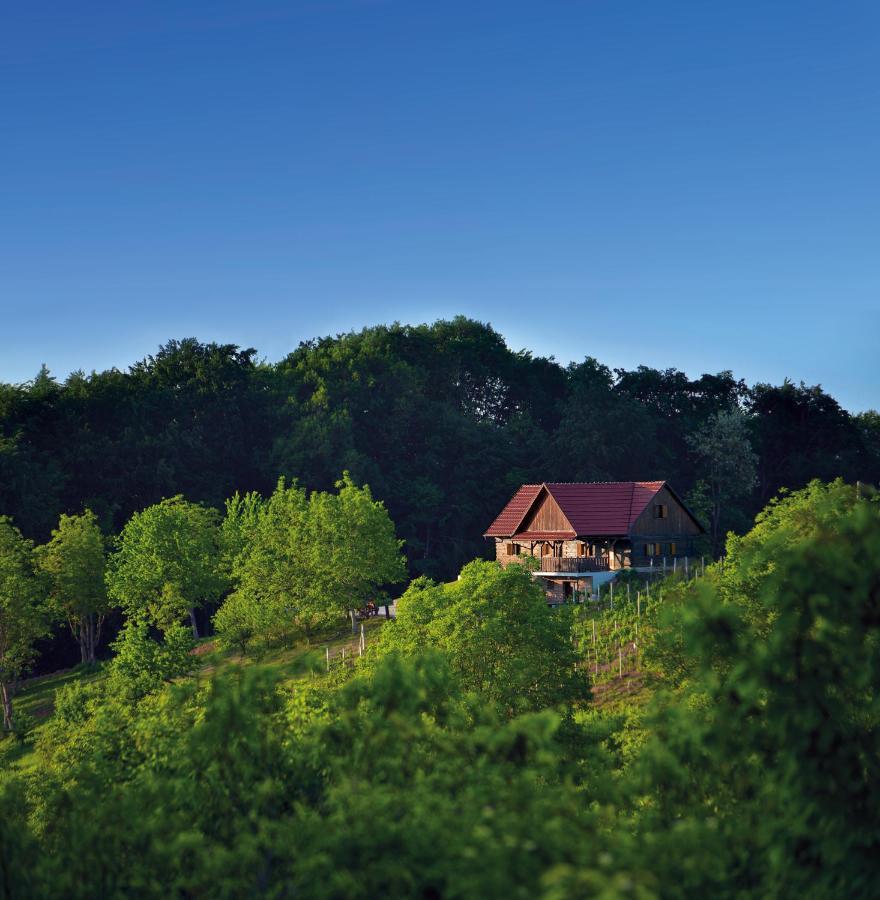 Green silence Bedenica Buitenkant foto